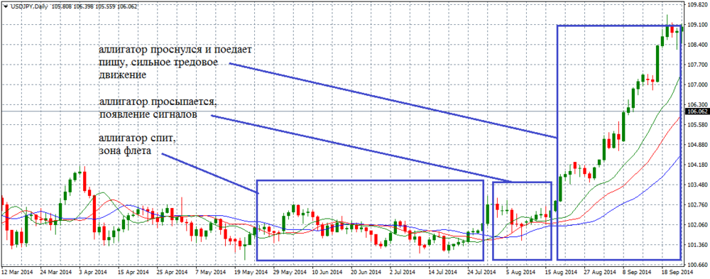 Индикатор Alligator: как им пользоваться в трейдинге
